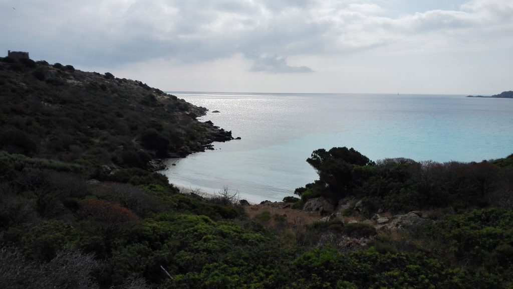 Asinara - Cala Arena